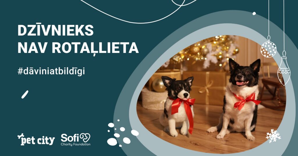 Fonds “Sofi” un “PetCity” atgādina: “Dzīvnieks nav rotaļlieta – dāvini atbildīgi”!